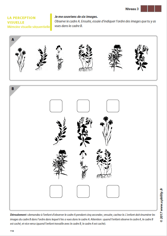 Les capacités de perception visuelle pour les enfants dyslexiques | ENSEMBLE DE 7 LIVRES NUMÉRIQUES - Image 9